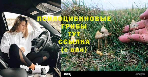 прущие крисы Абаза