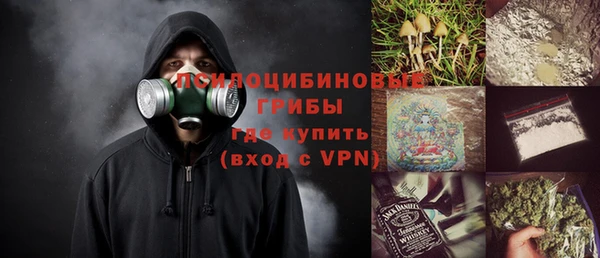 PSILOCYBIN Алзамай