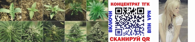 ТГК Wax  купить  сайты  Касимов 